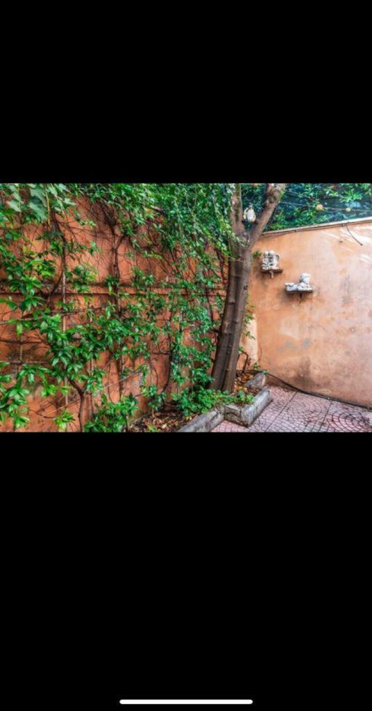Olimpico'S Apartment Roma Esterno foto